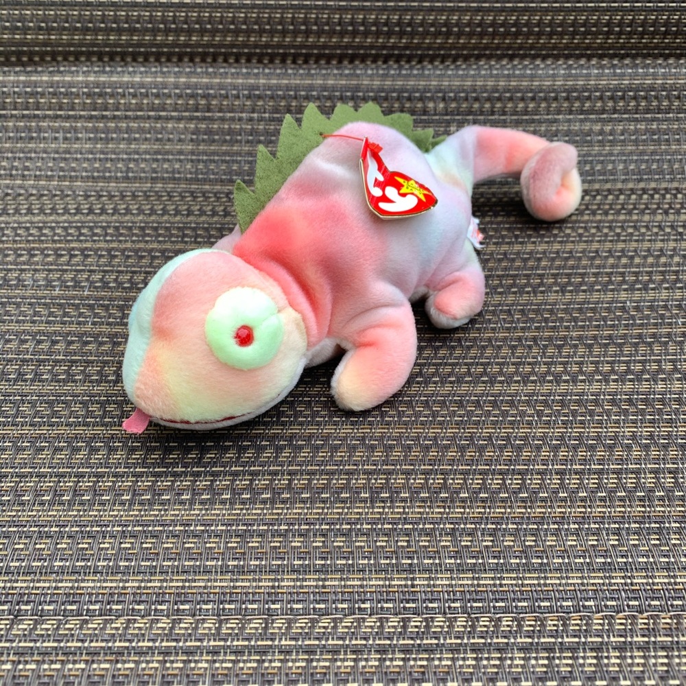 Iggy beanie baby